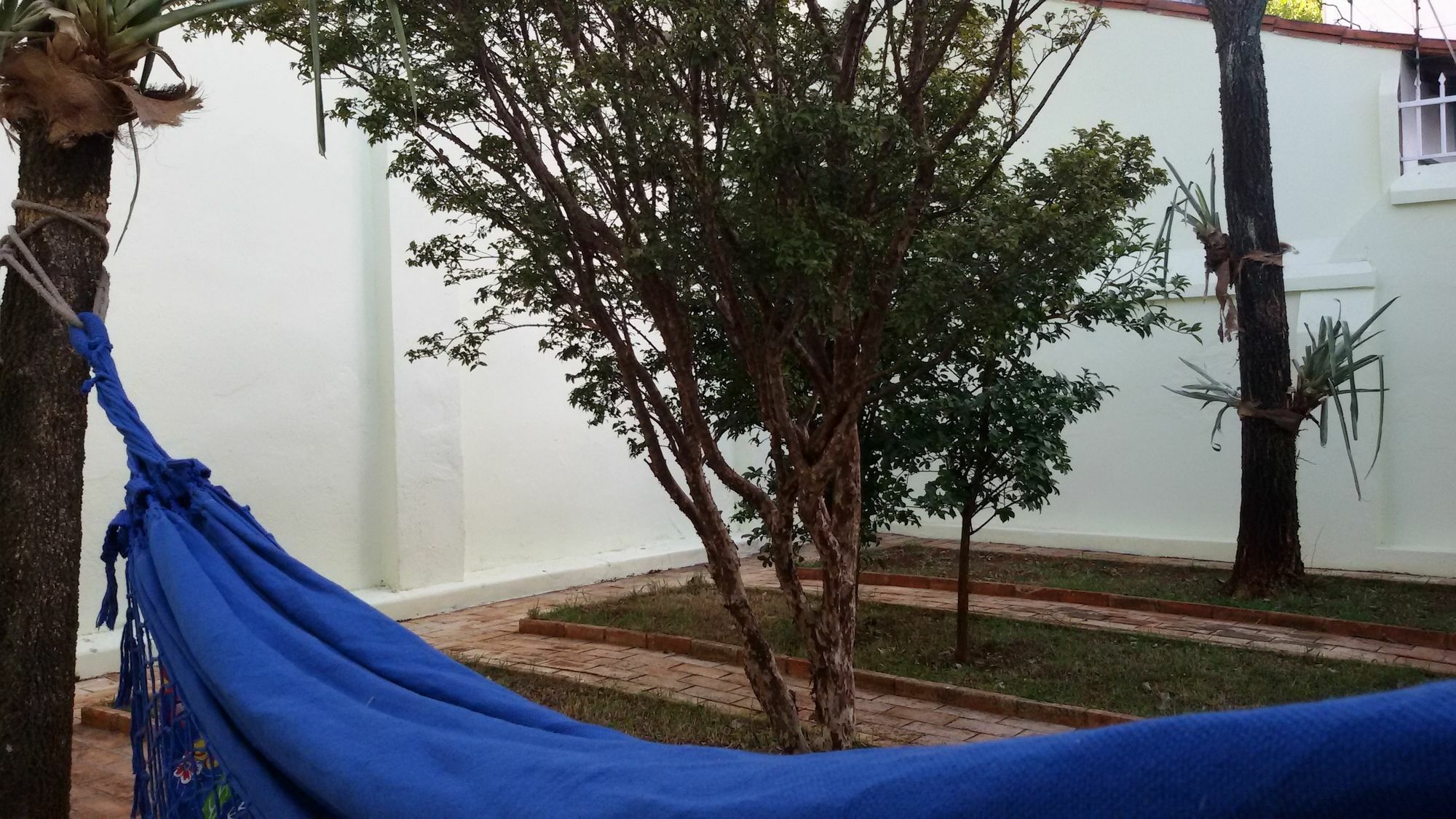 Center Hostel